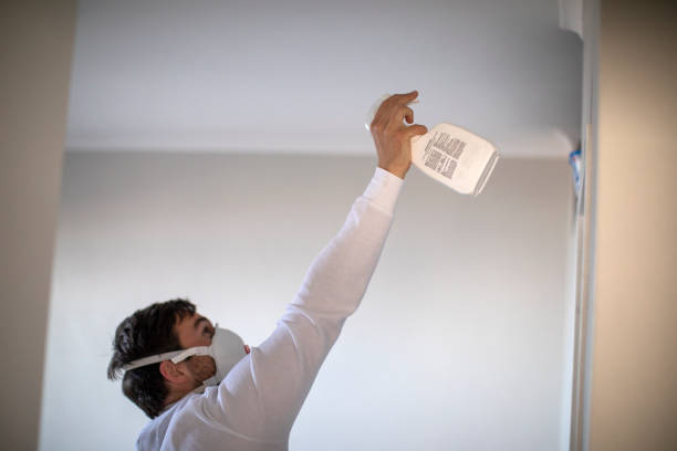 Best Localized Mold Remediation (e.g., coastal areas, humid climates) in Lyman, MS