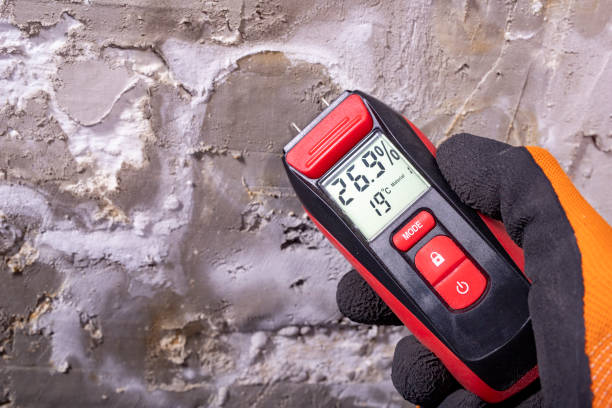 Best Mold Remediation for Schools in Lyman, MS