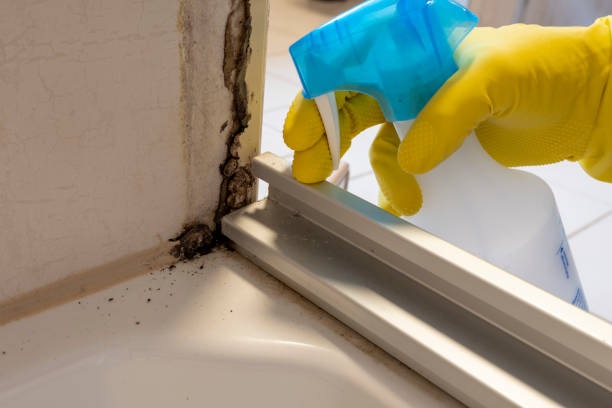 Best HVAC Mold Remediation in Lyman, MS